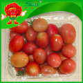 Organic red cherry tomato melon and fruit vegetable